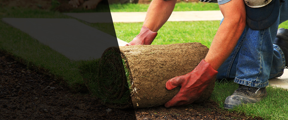 Fort Sheridan Landscapers